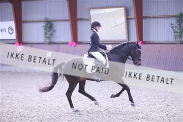 173883_mtp_01_3M5A0464.JPG