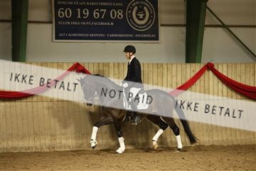 175801_mlm_01_R62_8536.JPG