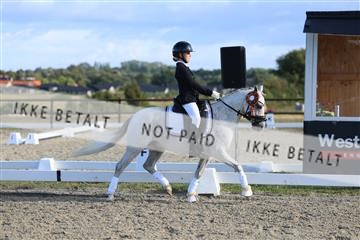 181894_mtp_05_R62_5554.JPG