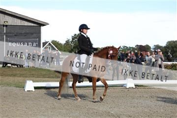 181894_mtp_05_R62_5616.JPG