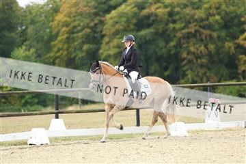 181894_mtp_04_R62_3699.JPG