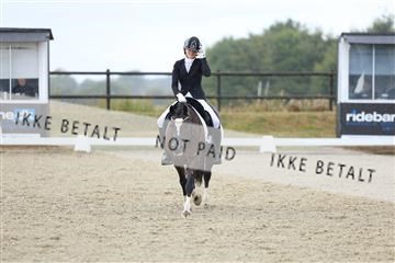 181894_mtp_05_R62_4372.JPG