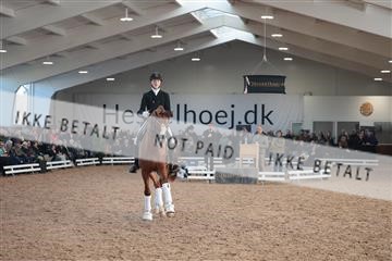 179022_kbb_01_R6II3013.JPG