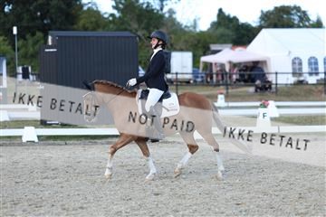 181894_mtp_05_R62_5372.JPG