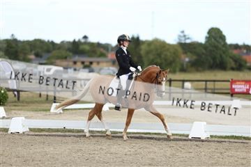 181894_mtp_03_R62_2970.JPG