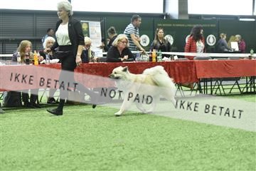 163793_bkn_01__BKN9238.JPG
