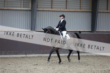 171210_mtp_01_3M5A6397.JPG