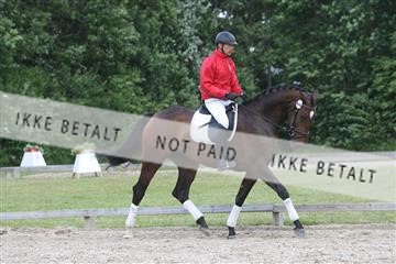 135518_ms_02_IMG_2874.JPG