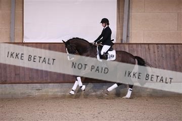 173821_mtp_01_3M5A8382.JPG
