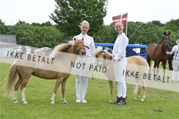 156066_jbr_02__JB29304.JPG