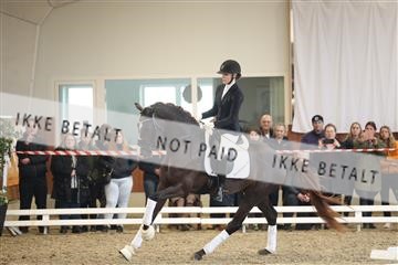 174363_kbb_01_R6II7975.JPG
