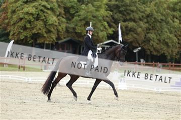 181923_mtp_03_R62_7393.JPG