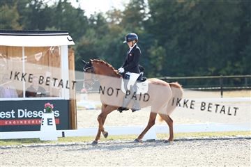 181894_mtp_02_R62_1756.JPG