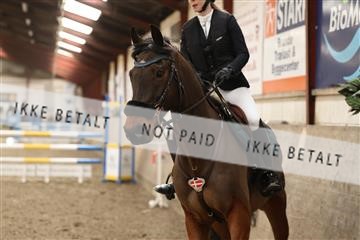 173820_kbb_01_R6II8090.JPG