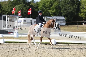 181894_mtp_05_R62_4856.JPG