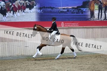181887_mtp_05_R62_9754.JPG