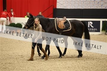 178838_mtp_04_0E6A4416.JPG