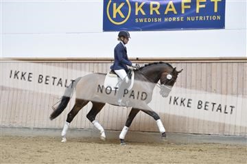 160111_nn_01__ESK2001.JPG