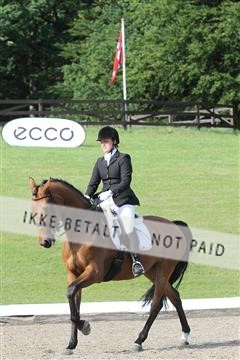 135676_sg_03_IMG_9911.JPG