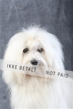 129608_le_ 01_0310.JPG