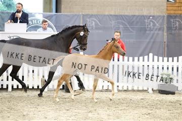 174806_jss_04_R6II4317.JPG