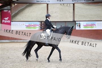 175442_kbb_01_R6II0075.JPG