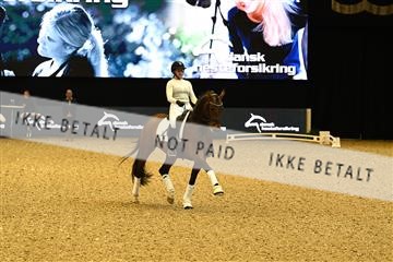 173966_jbr_02_JBR_2535.JPG