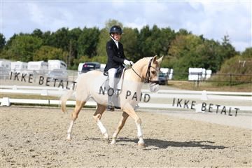 181894_mtp_05_R62_4590.JPG