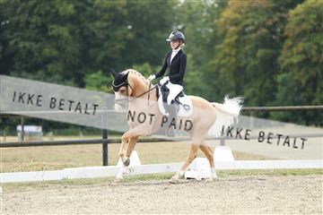 181894_mtp_04_R62_3735.JPG