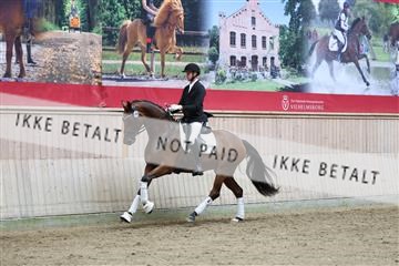 181887_mtp_04_R62_8816.JPG