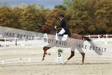 181923_mtp_03_R62_7326.JPG