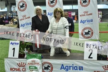 163793_bkn_01__BKN9142.JPG