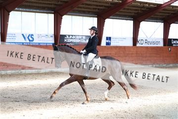 175442_kbb_01_R6II0245.JPG
