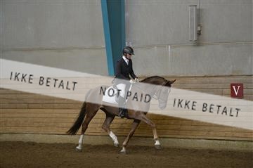 144288_abo_02__AB22887.JPG