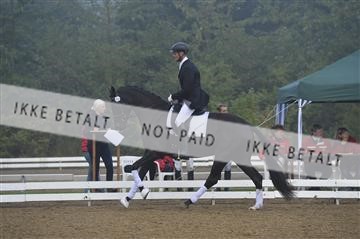 136195_abo_01__AB15038.JPG