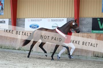 181868_mtp_01_R62_5247.JPG