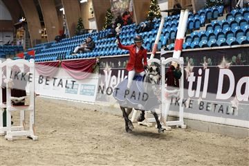 175934_avh_02_7712.JPG