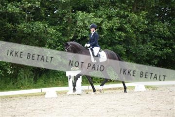 162958_mep_01_DSC_6350.JPG