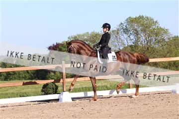 181449_bc_01R62_6371.JPG
