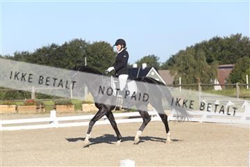 148862_sg_01_IMG_2683.JPG