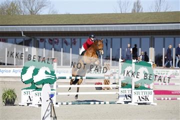 181332_kbb_01_6II3488.JPG