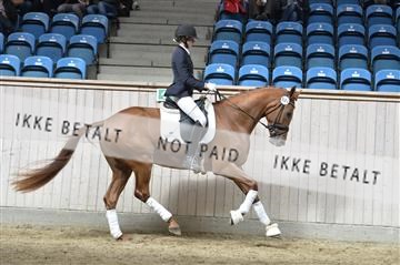 160111_nn_01__ESK2197.JPG