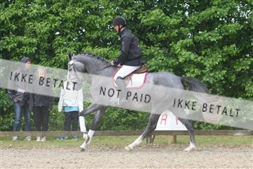 135518_ms_01_IMG_1258.JPG