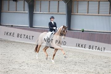 171210_mtp_01_3M5A6205.JPG