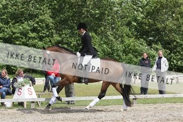 135518_ms_02_IMG_2654.JPG