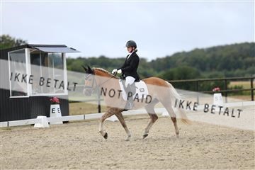 181894_mtp_04_R62_3707.JPG