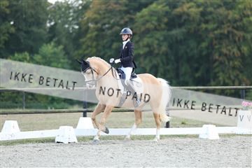 181894_mtp_04_R62_4062.JPG