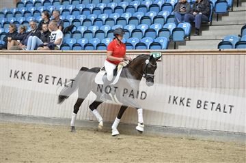 160111_nn_01__ESK1455.JPG