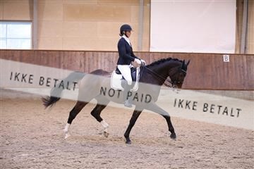 173821_mtp_01_3M5A9683.JPG