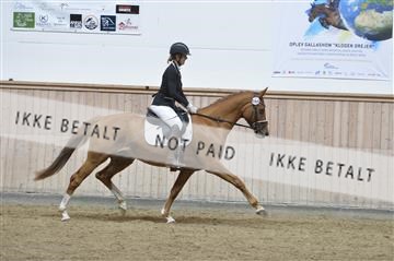 160111_nn_01__ESK1687.JPG